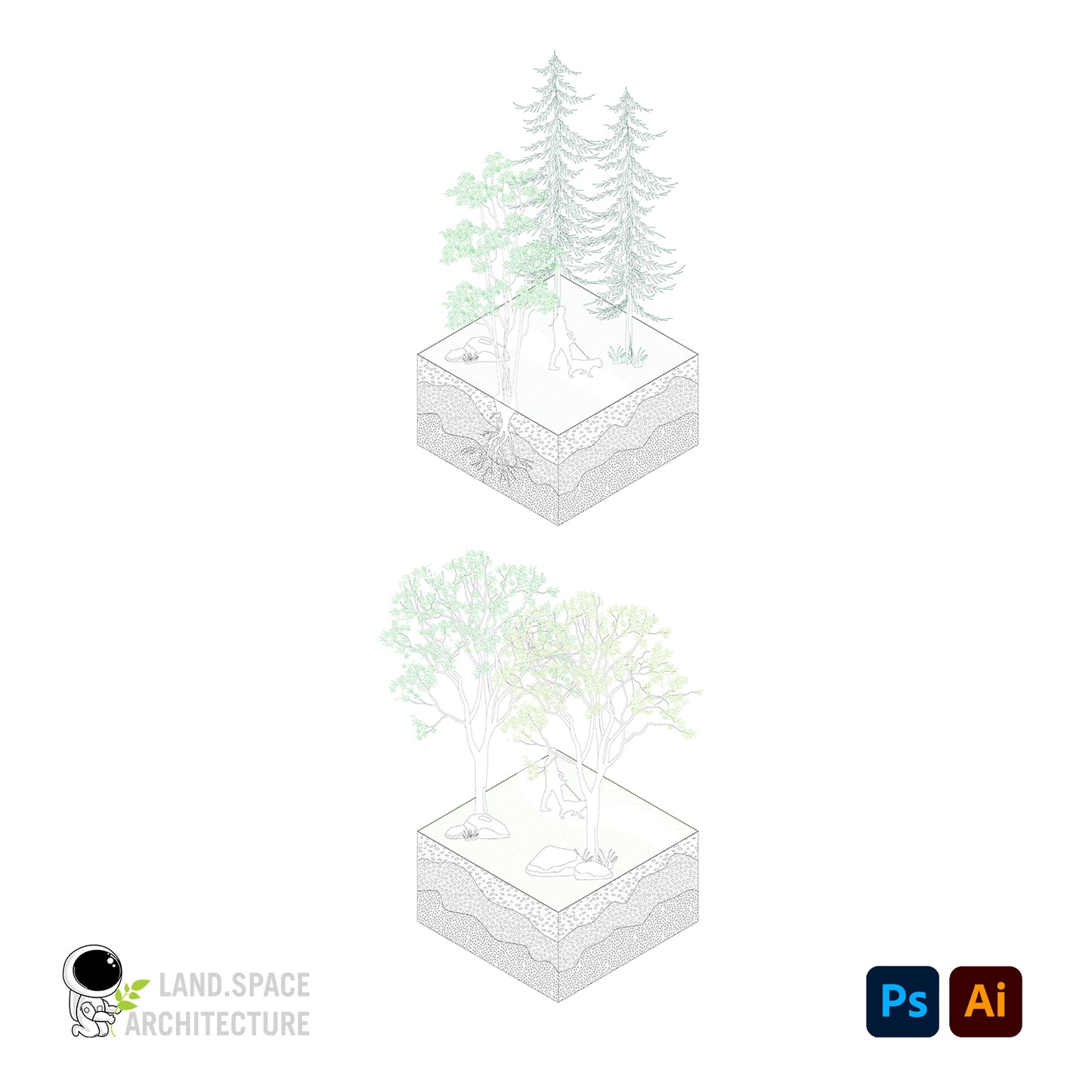 Trees Elevation Vectors and Brushes