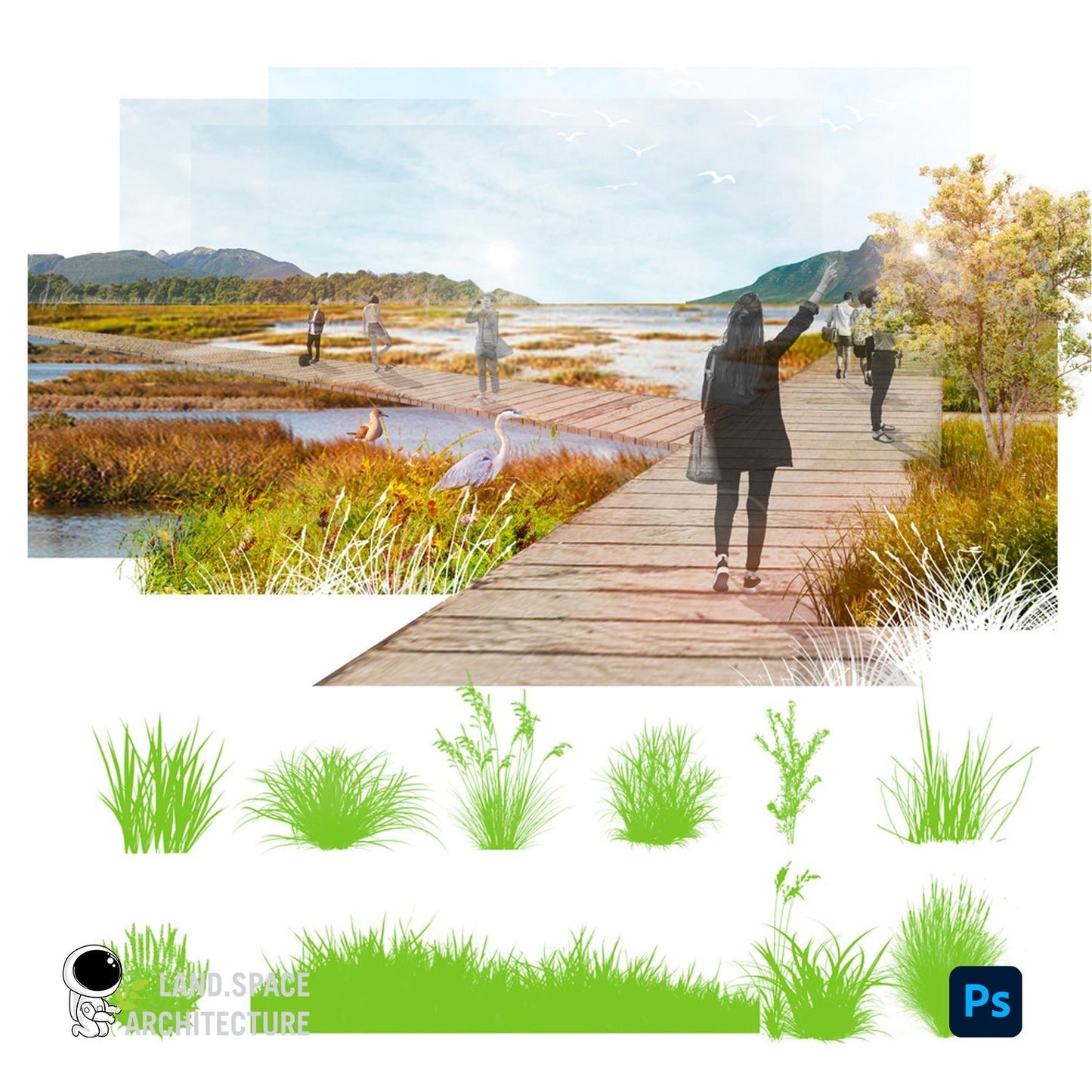 FREE Grass and Shrubs Photoshop Brushes Pack - Landscape Architecture