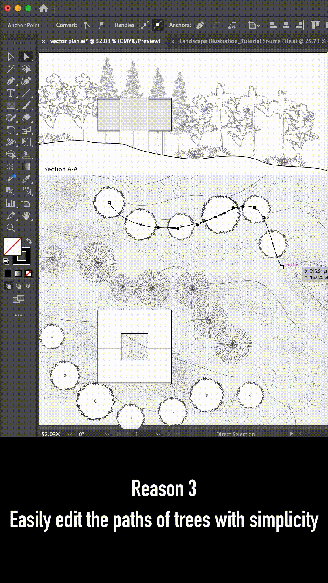 35 Tree Top View Vector Brushes and Vector Trees