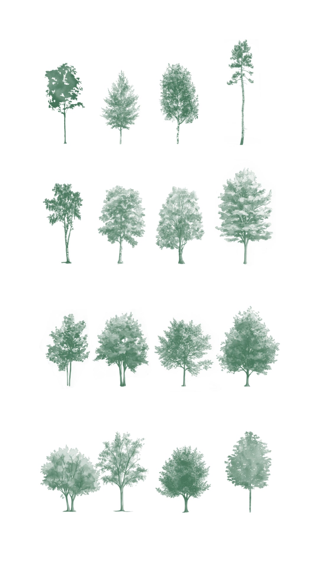 Watercolor Procreate Tree Brushes