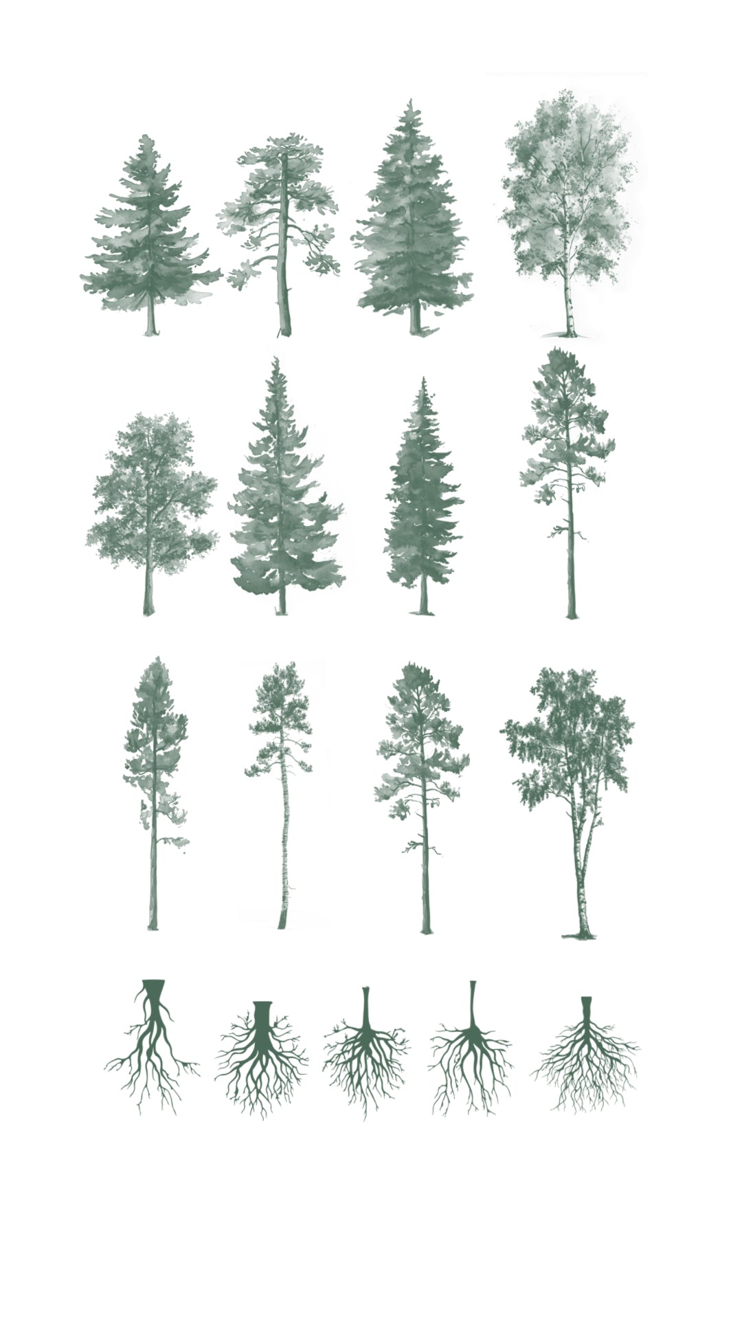 Watercolor Procreate Tree Brushes