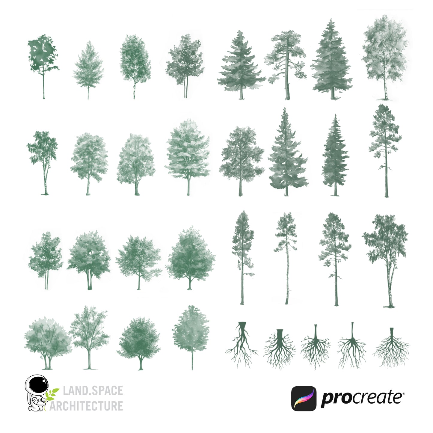 Watercolor Procreate Tree Brushes