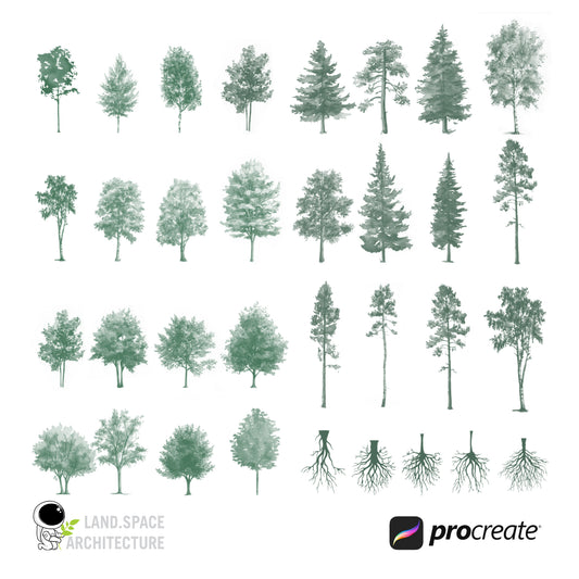 Watercolor Procreate Tree Brushes
