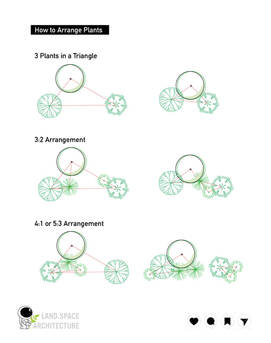 How to Arrange Plants in Landscape Design