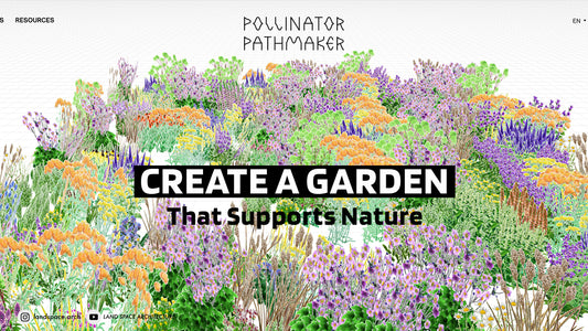 Discover the Perfect Tool for Creating Pollinator-Friendly Gardens: A Step-by-Step Guide