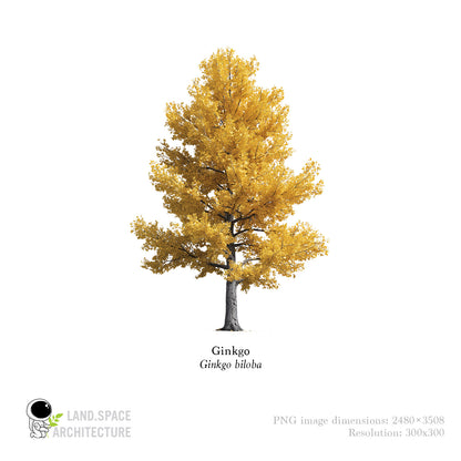High-Resolution Cutout PNG Trees (50 Species, 60 PNG) | Common & Scientific Names | Architecture & Landscape Visualization Pack
