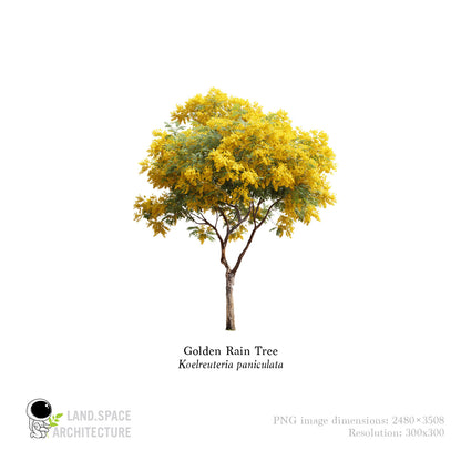 High-Resolution Cutout PNG Trees (50 Species, 60 PNG) | Common & Scientific Names | Architecture & Landscape Visualization Pack