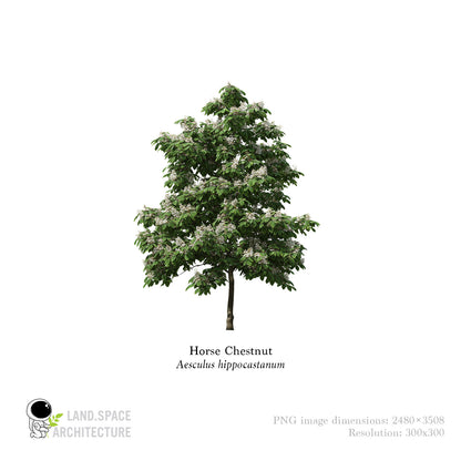 High-Resolution Cutout PNG Trees (50 Species, 60 PNG) | Common & Scientific Names | Architecture & Landscape Visualization Pack