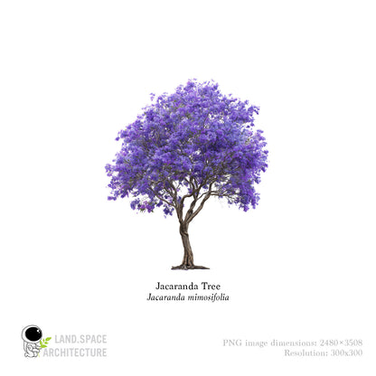 High-Resolution Cutout PNG Trees (50 Species, 60 PNG) | Common & Scientific Names | Architecture & Landscape Visualization Pack