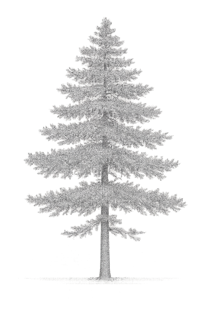 42 PNG Tree and Shrub Elevations