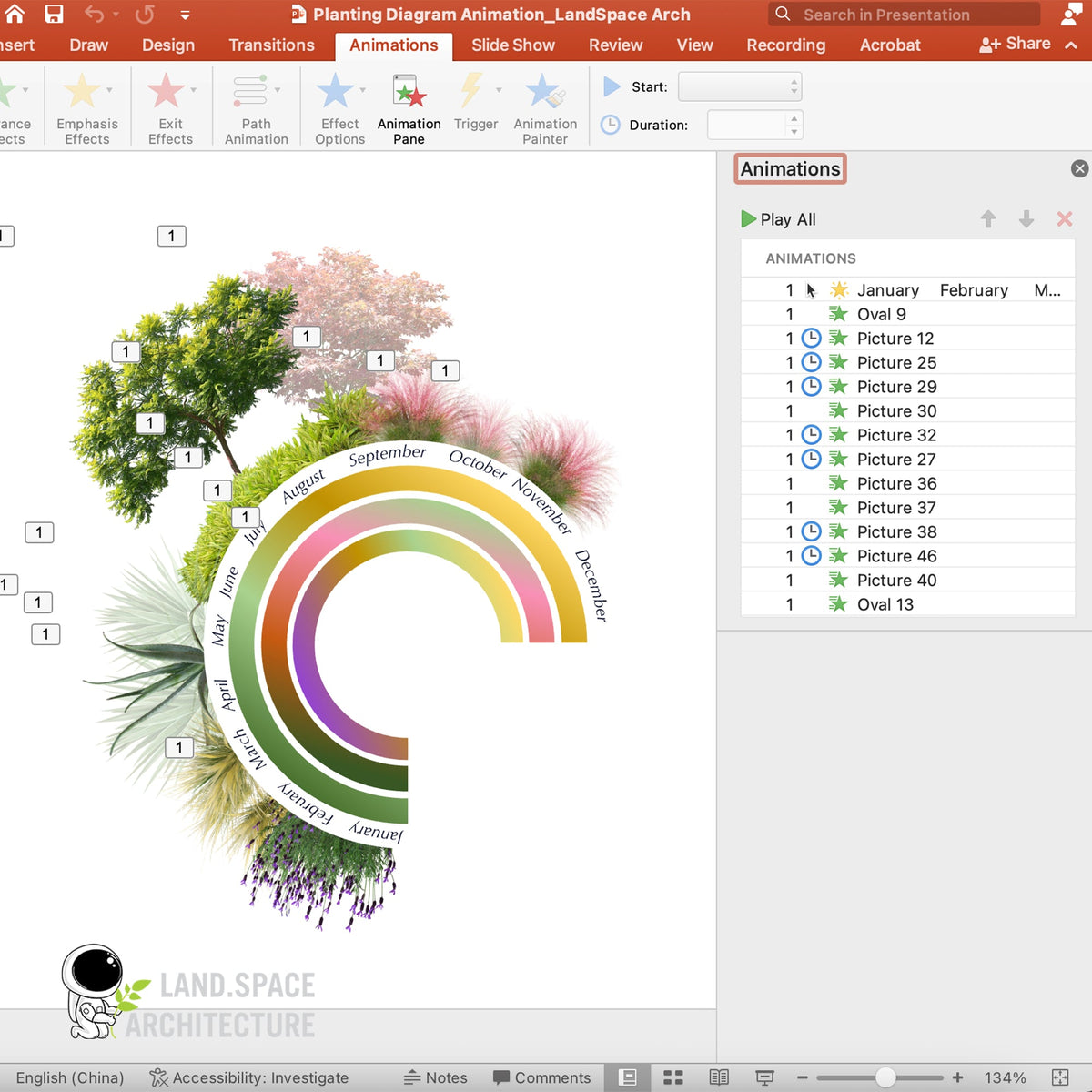 FREE Animated Planting Diagram in PowerPoint – LandSpace Architecture