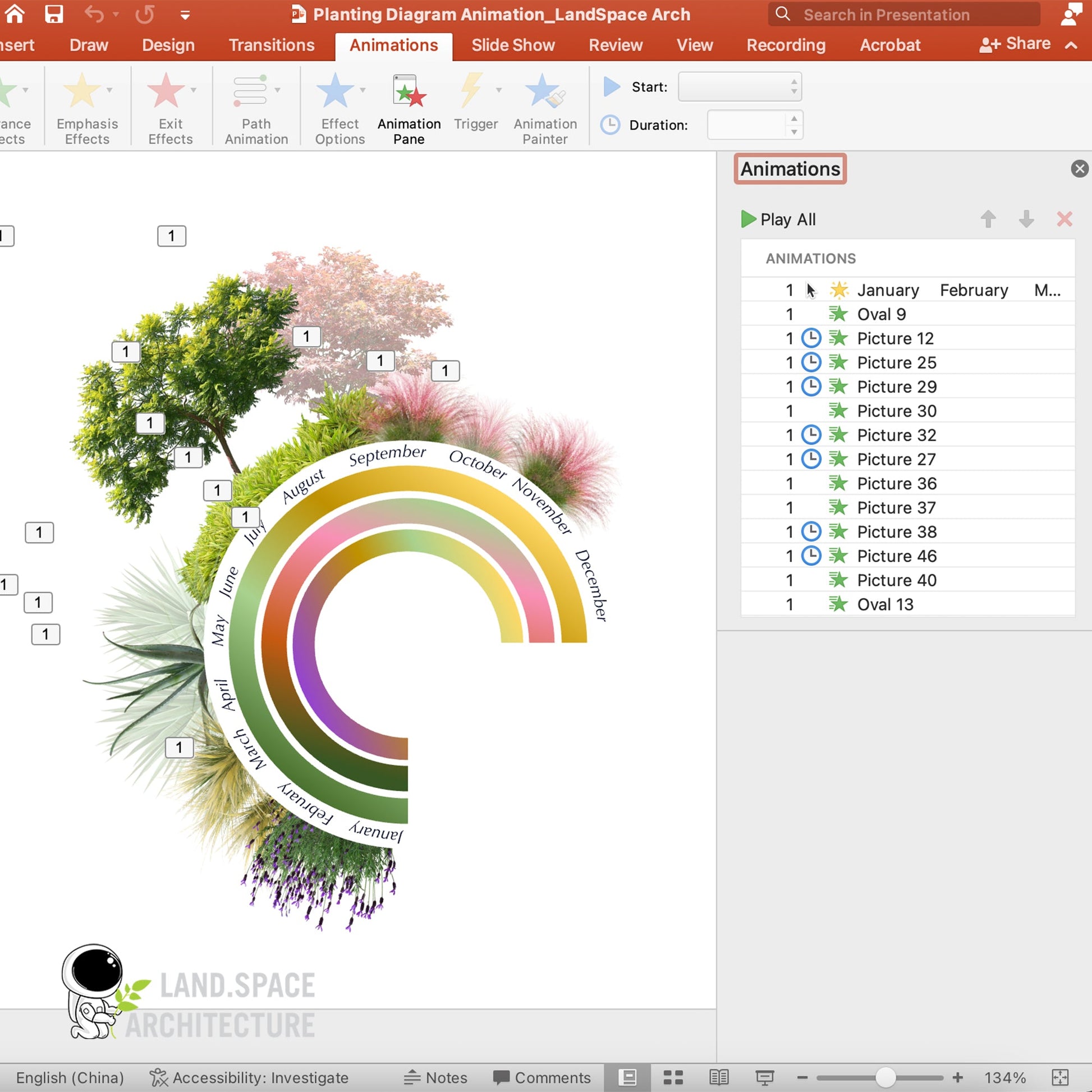 FREE Animated Planting Diagram in PowerPoint - Landscape Architecture