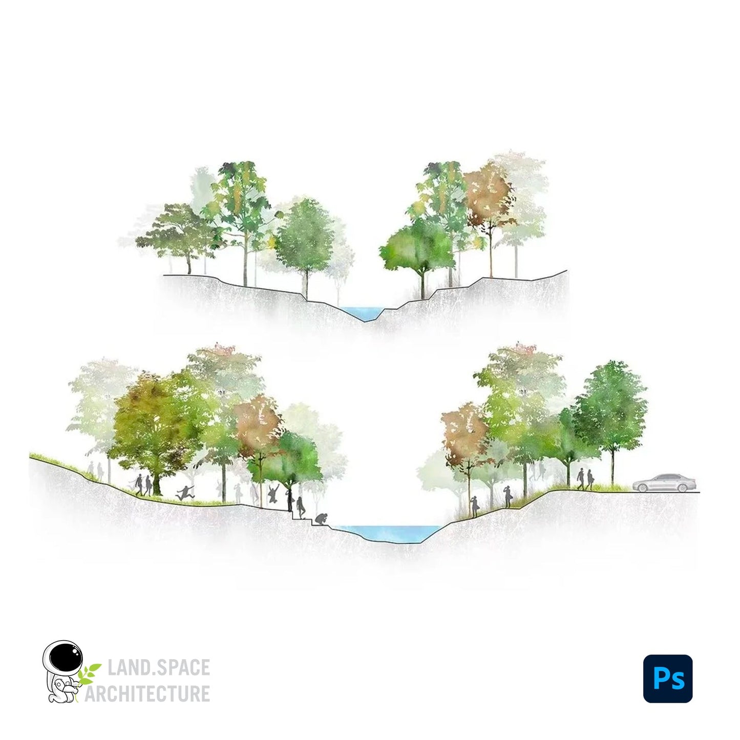 FREE Watercolor trees PNG - Landscape Architecture