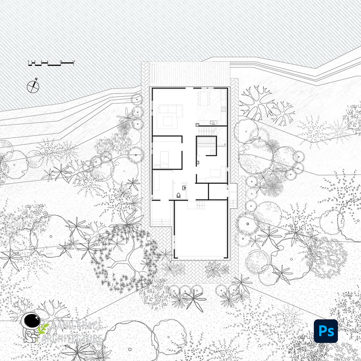 Minimalist Photoshop top view tree and grass brushes for landscape architecture competition plan rendering