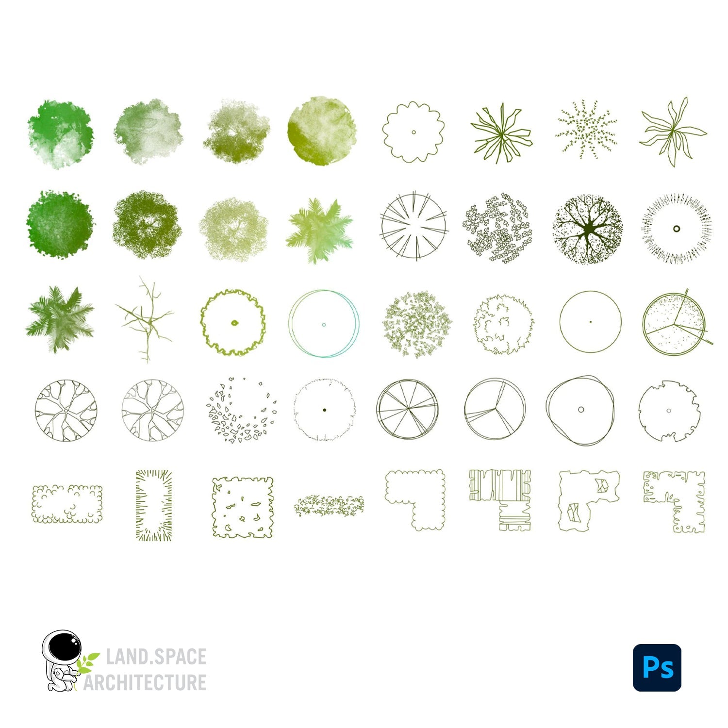 Photoshop tree and shrub brushes set (.abr) - Landscape Architecture