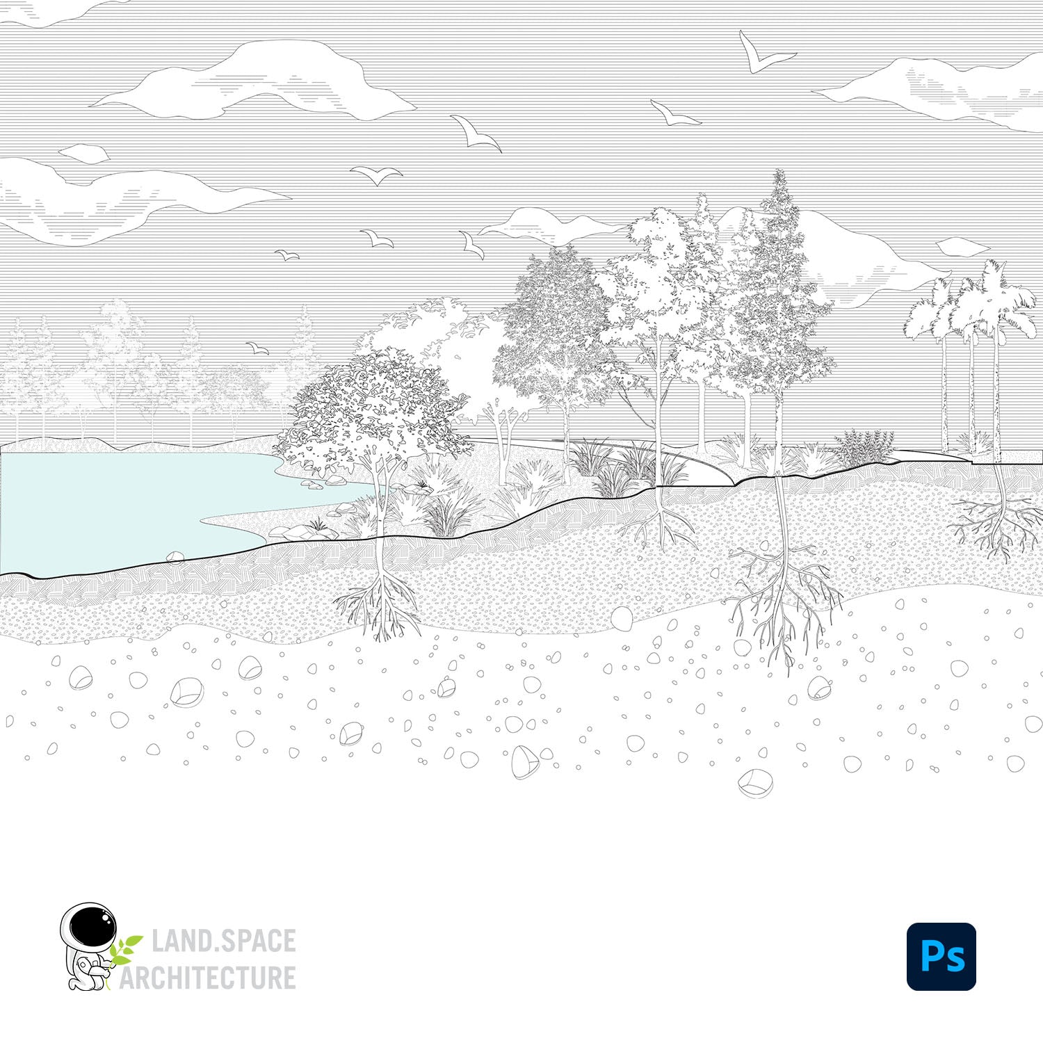 Draw Trees For Landscape Design