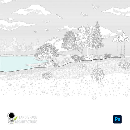 Photoshop Trees Silhouettes, Cut soils, Roots, Environments etc. Landscape Design Bundle - Landscape Architecture