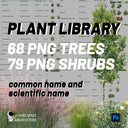 Plant Library for 68 PNG trees and 79 PNG shrubs, and source file in the tutorial - Landscape Architecture