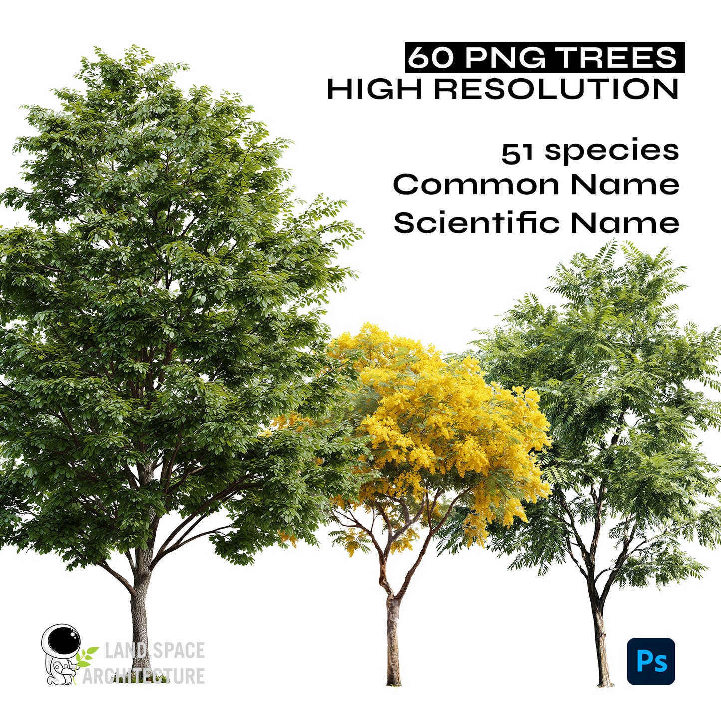 High-Resolution Cutout PNG Trees (50 Species, 60 PNG) | Common & Scientific Names | Architecture & Landscape Visualization Pack