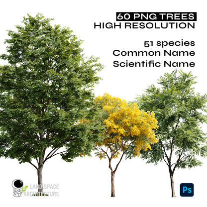 High-Resolution Cutout PNG Trees (50 Species, 60 PNG) | Common & Scientific Names | Architecture & Landscape Visualization Pack