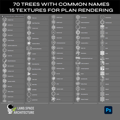 Premium Top View Landscape Plan Tree Brushes and PSD Trees - Landscape Architecture