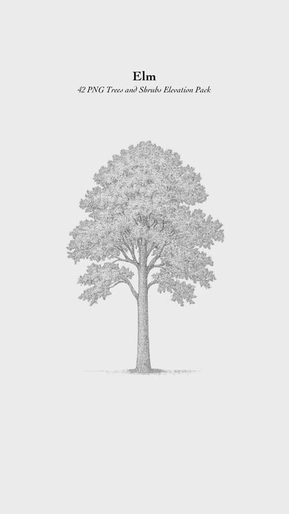 42 PNG Tree and Shrub Elevations