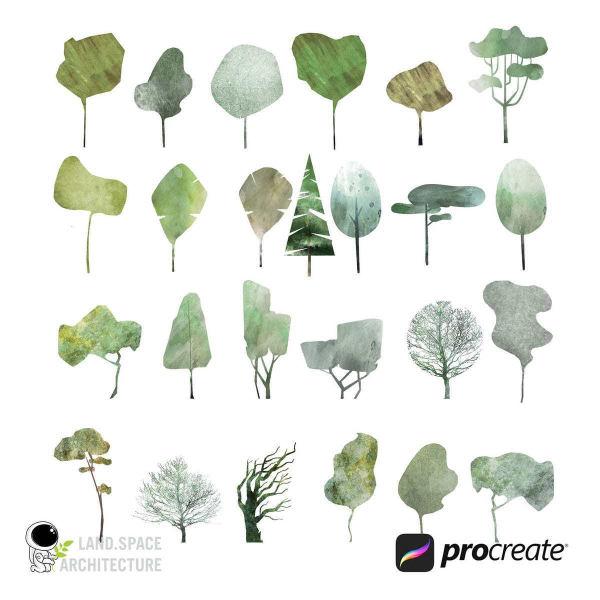 Procreate Watercolor Tree Elevation Brushes – LandSpace Architecture