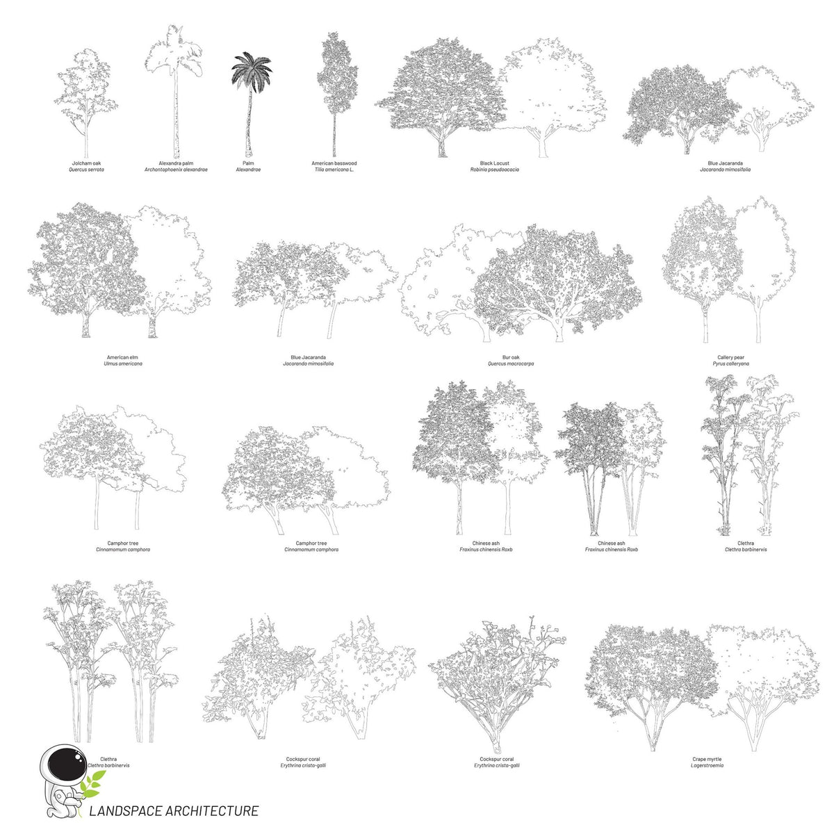 Tree Pata Vector Vector Landscape Illustration Bundle, Tree Elevation Vectors ...