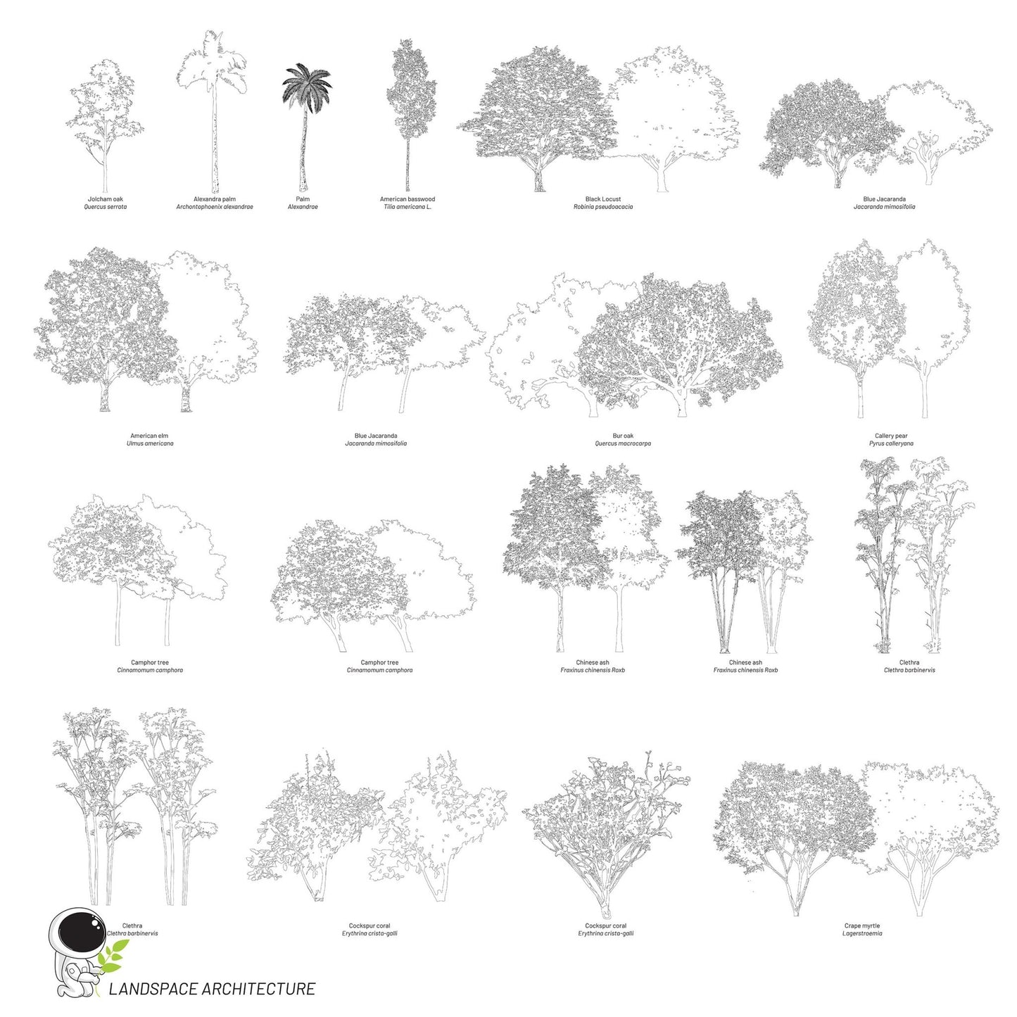 Vector Landscape Illustration Bundle, Tree Elevation Vectors - Landscape Architecture