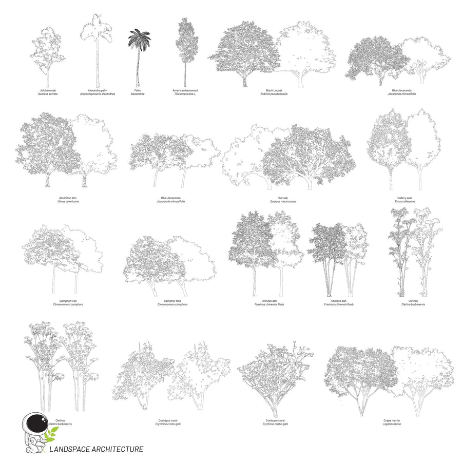 Vector tree elevation assets for landscape architecture sections elevations diagrams and competition boards