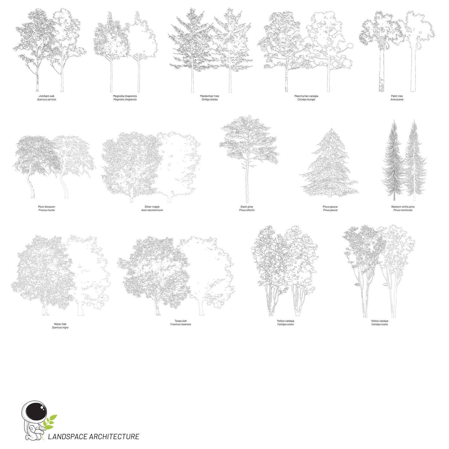 Vector Landscape Illustration Bundle, Tree Elevation Vectors - Landscape Architecture