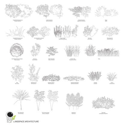 Vector Landscape Illustration Bundle, Tree Elevation Vectors - Landscape Architecture