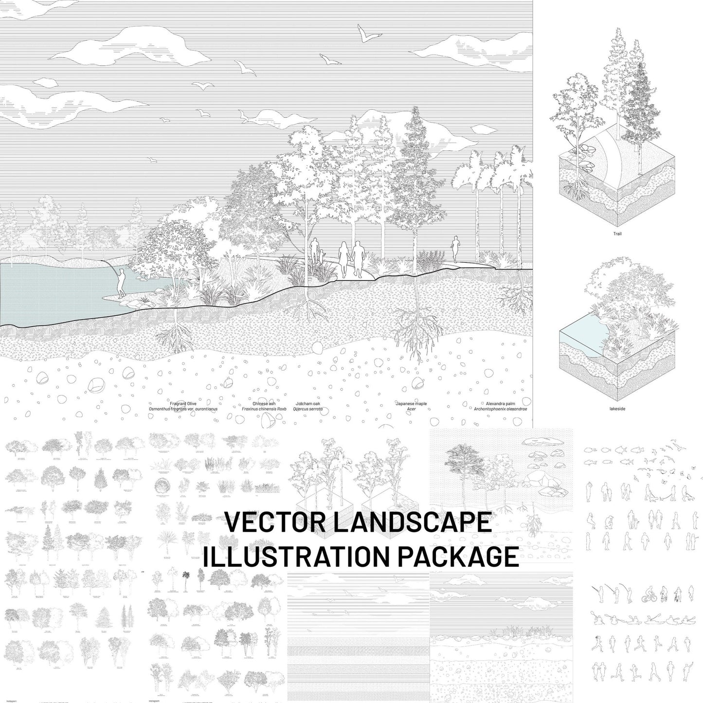 Vector Landscape Illustration Bundle, Tree Elevation Vectors - Landscape Architecture