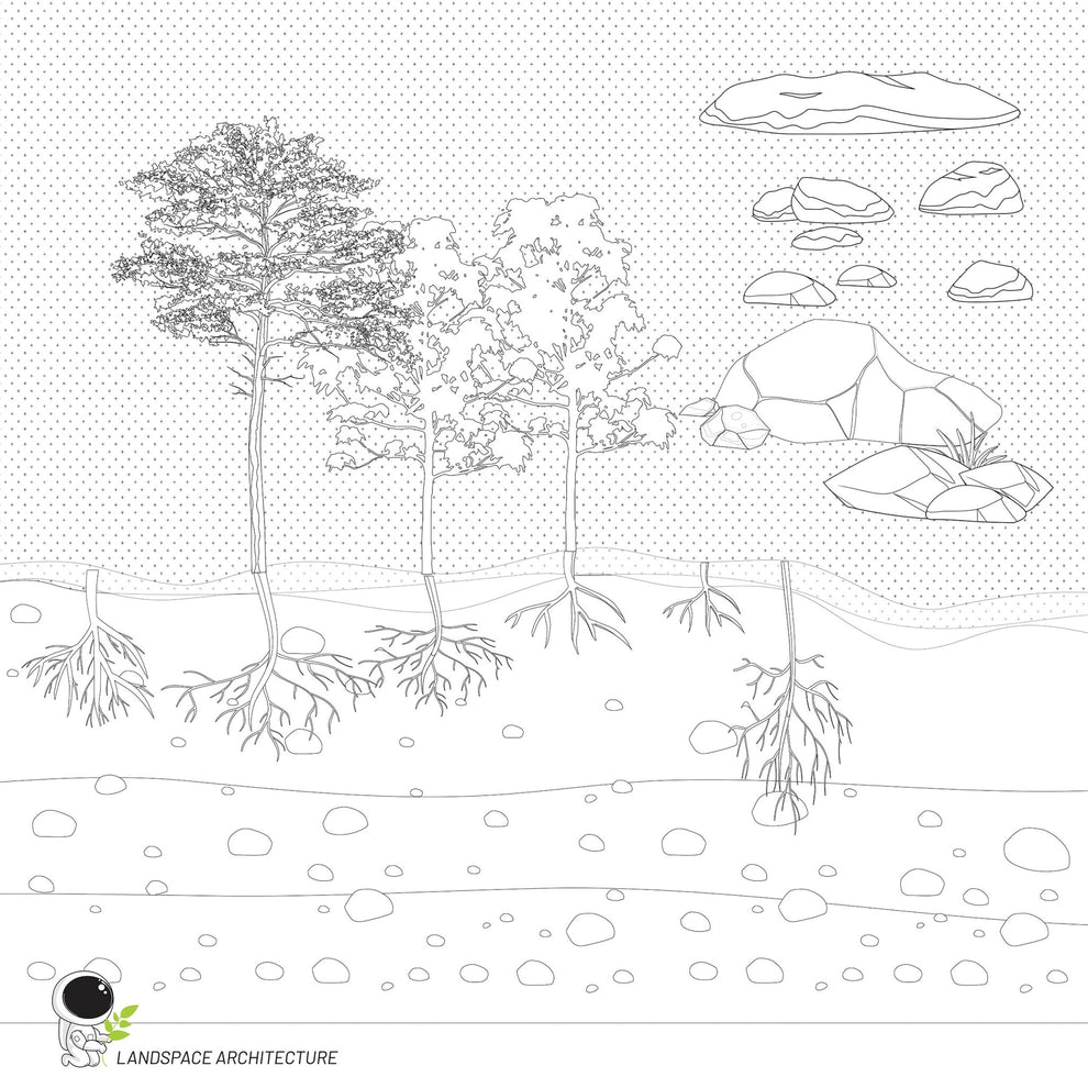 Vector Landscape Illustration Bundle, Tree Elevation Vectors ...