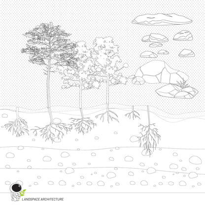 Vector Landscape Illustration Bundle, Tree Elevation Vectors - Landscape Architecture