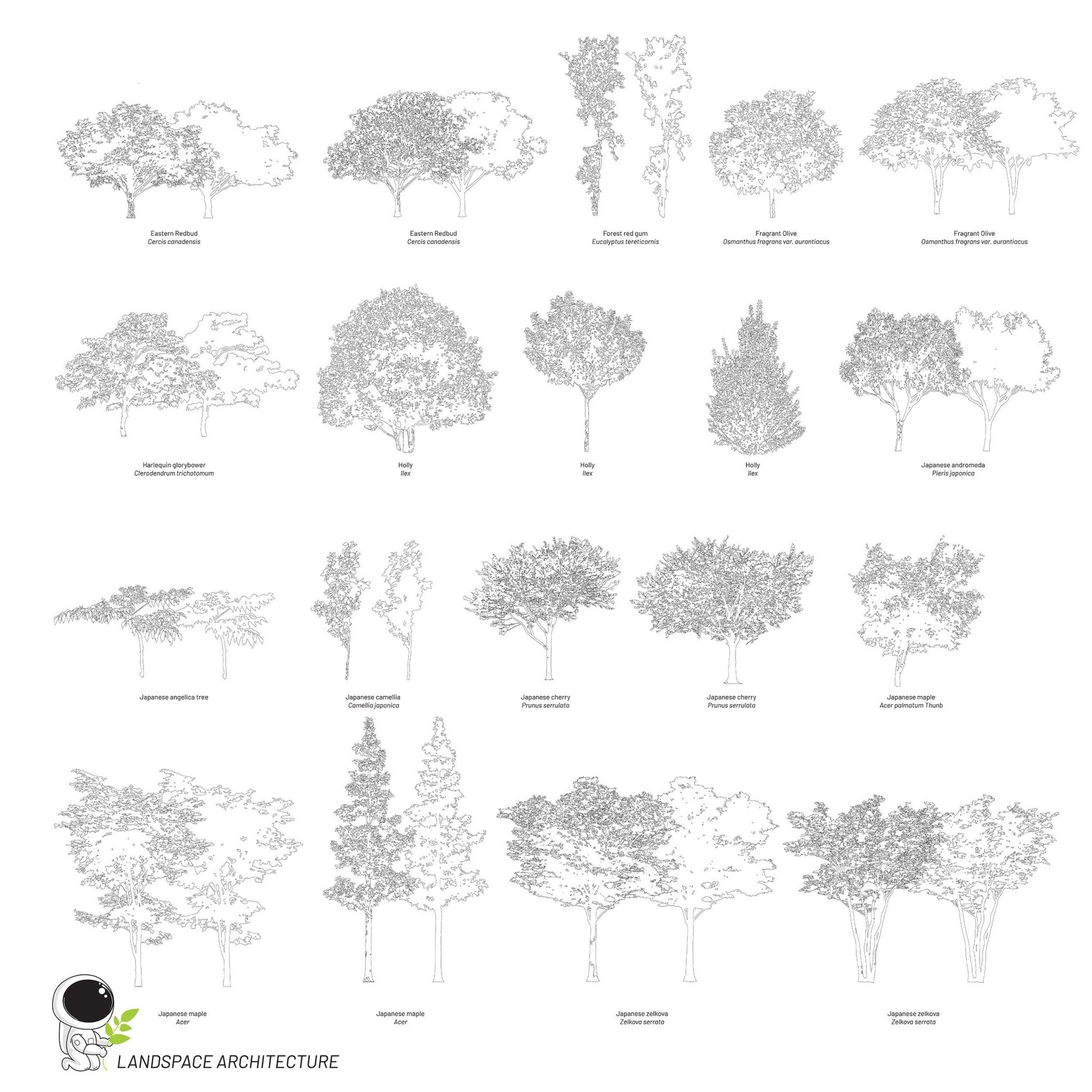 Vector Landscape Illustration Bundle, Tree Elevation Vectors - Landscape Architecture