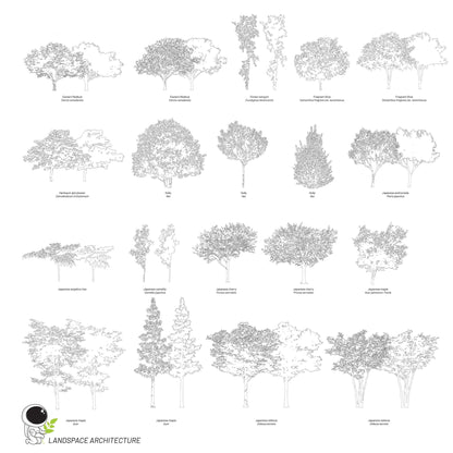 Vector Landscape Illustration Bundle, Tree Elevation Vectors - Landscape Architecture