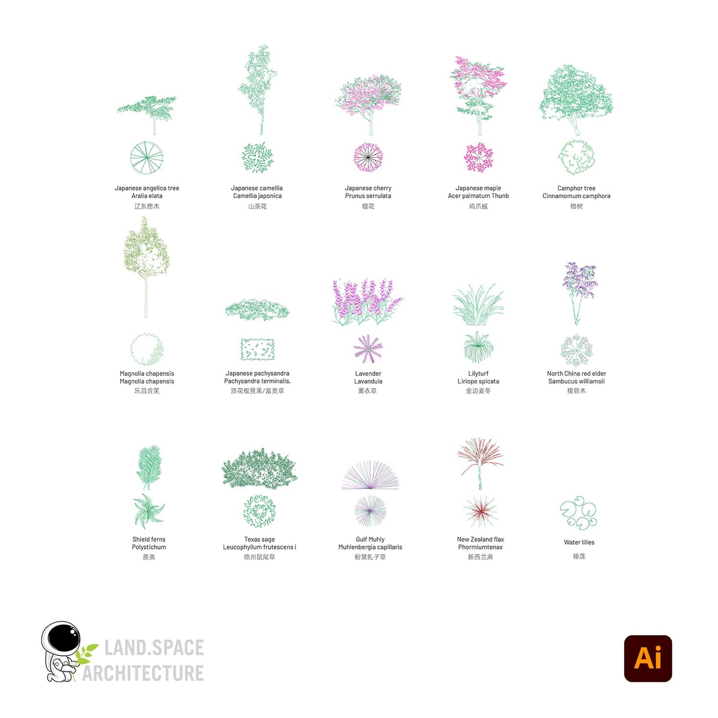 Vector Plants Top View and Elevations with Common and Scientific Names - Landscape Architecture