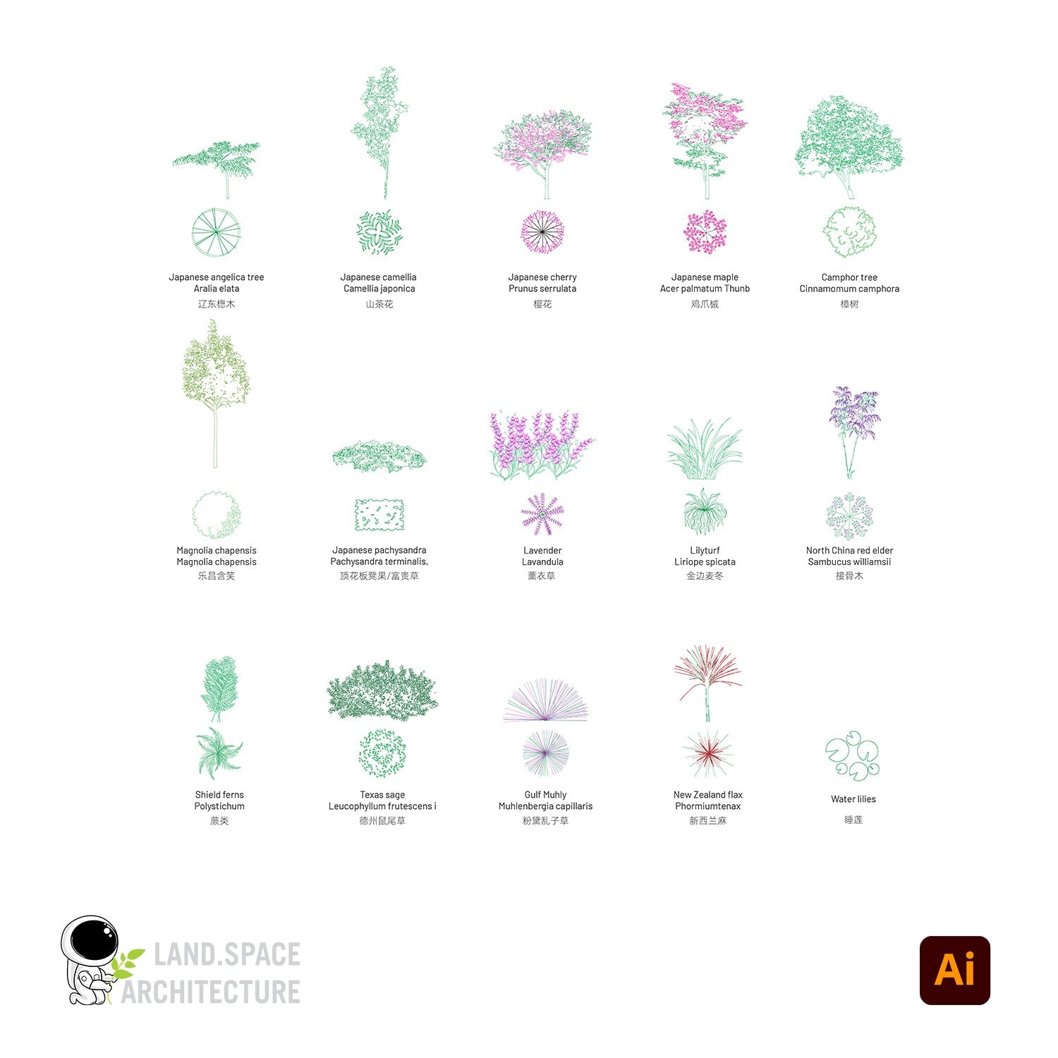 Vector Plants Top View and Elevations with Common and Scientific Names - Landscape Architecture