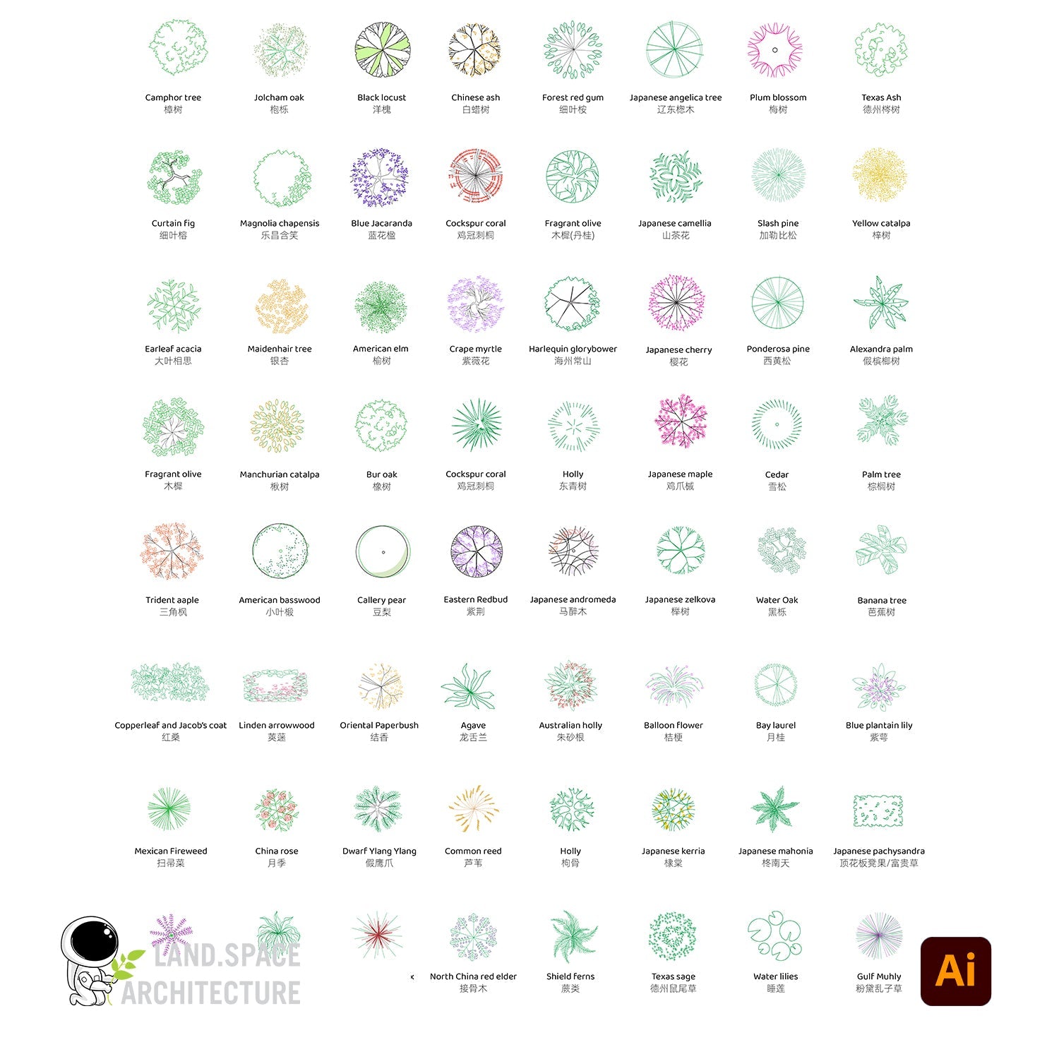 Vector Plants Top View and Elevations with Common and Scientific Names - Landscape Architecture