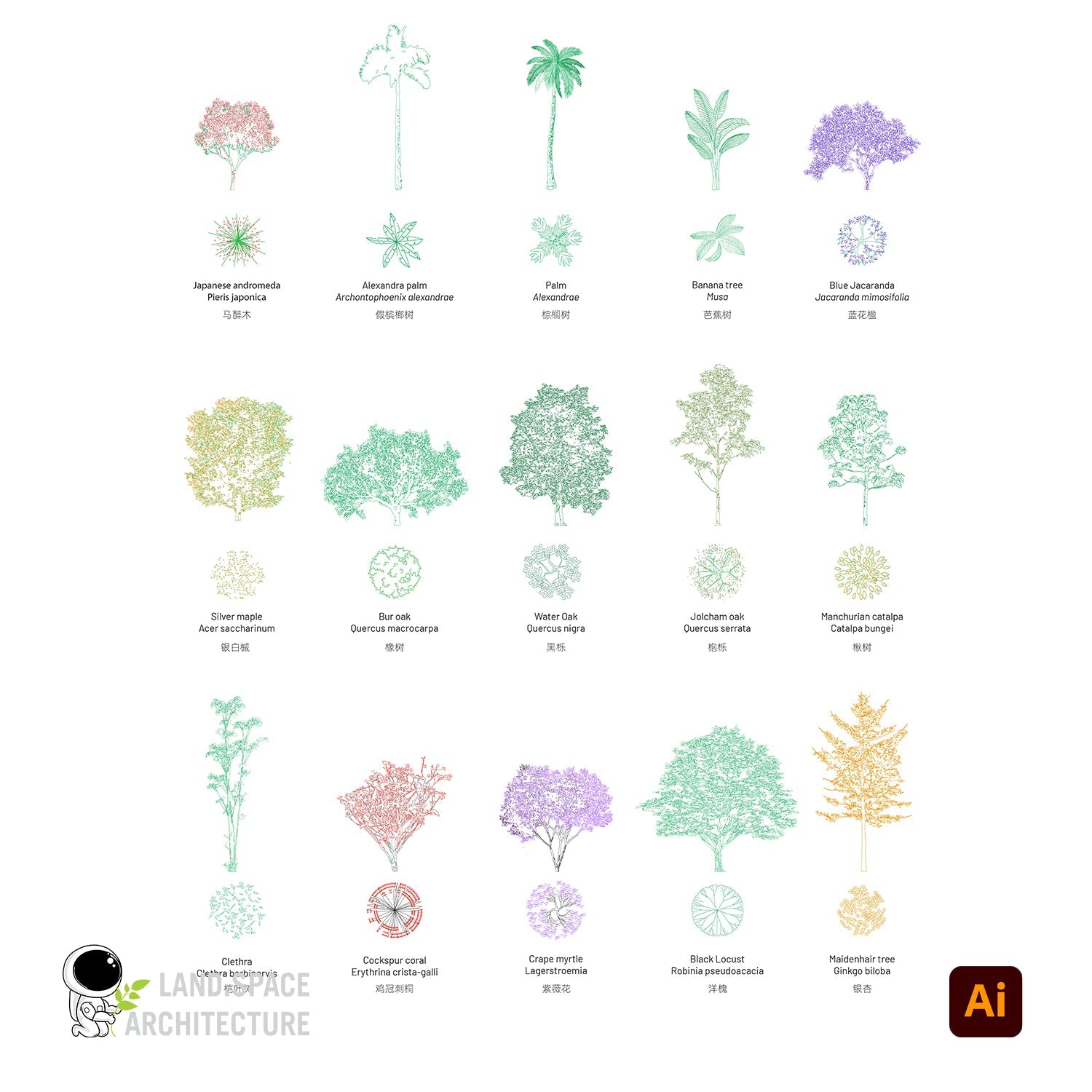 Vector Plants Top View and Elevations with Common and Scientific Names - Landscape Architecture