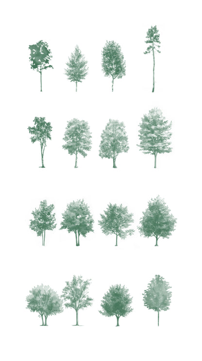 Watercolor Procreate Tree Brushes