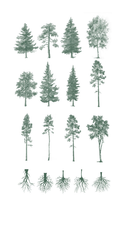 Watercolor Procreate Tree Brushes